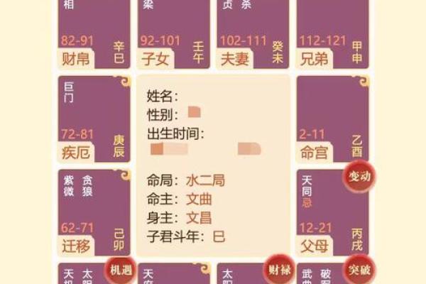探索命盘与大运背后的生肖智慧，解密命理与人生的关系！