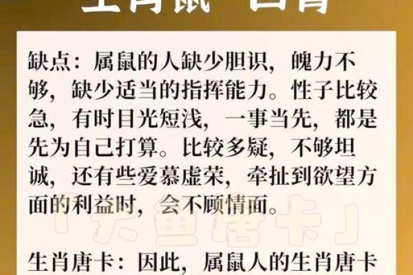 1982年鼠人命运解析：揭秘鼠人的性格与枝繁叶茂的人生旅程