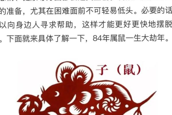 属猪与属鼠人的命运解析：探索生肖背后的命理密码