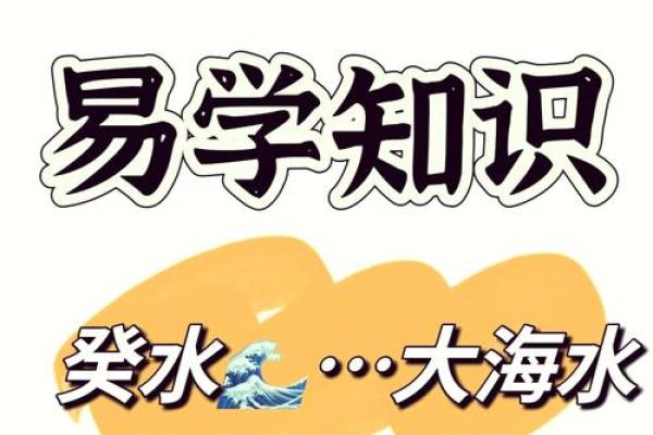 探索大海水命：哪个年龄段最具影响力？