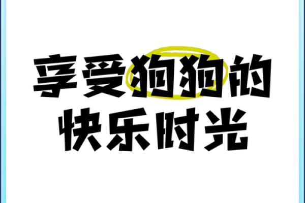 狗子陪伴我们，带给我们温暖与快乐的生命礼赞