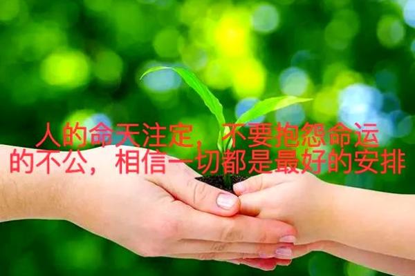 壬申癸酉纳音揭秘：探寻命运的奥秘与人生的智慧
