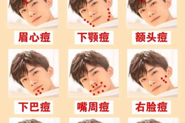 容易长胖的人是什么命？探寻背后的秘密与解决之道