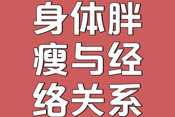 容易长胖的人是什么命？探寻背后的秘密与解决之道