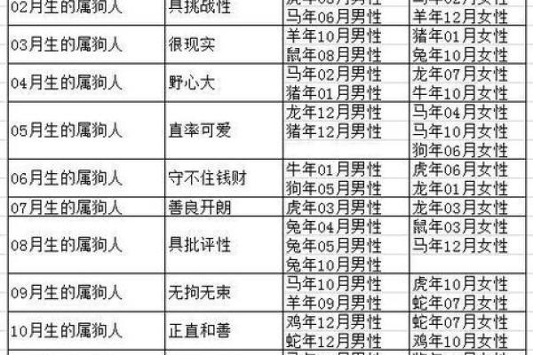 23岁属狗人的命运揭秘：迎接挑战与机遇的最佳时刻！