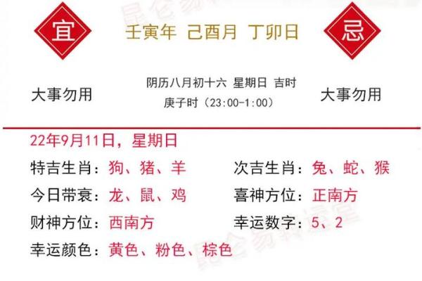 属鸡人在11月的命运与机遇：揭秘成败的关键因素