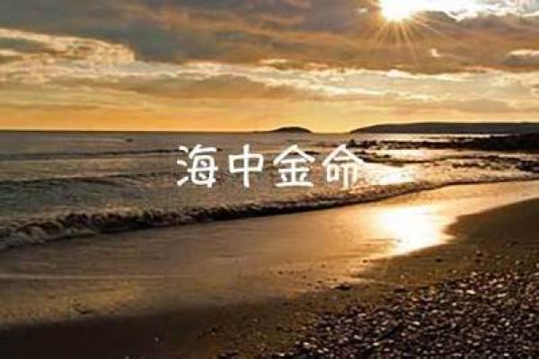 1985年牛海中金命与哪些命最配？揭秘命理搭配之道