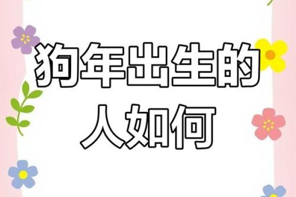 1994年属什么命？揭开“狗年”命运的神秘面纱！