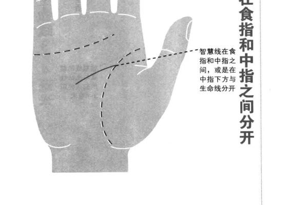 手掌纹路的奥秘：揭示命运的密码与智慧
