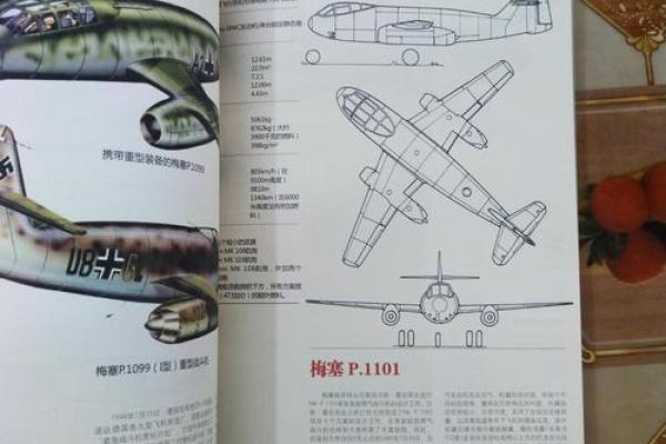 探索1939年出生的人的命运特征与生活智慧