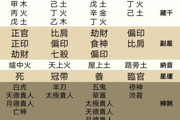 土命格的人适合哪些行业？深度解析土命的职业道路