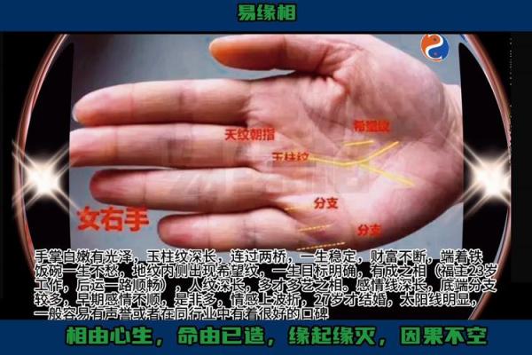 揭秘手相：什么样的手相预示着富贵与贫穷的命运