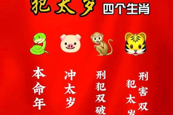 1971年属什么？探索这一年的生肖与命运之旅