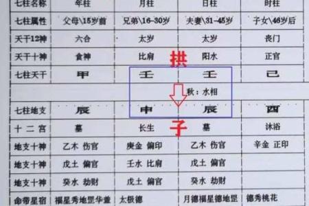 探寻女命地支子午卯酉的奥秘与命运解析