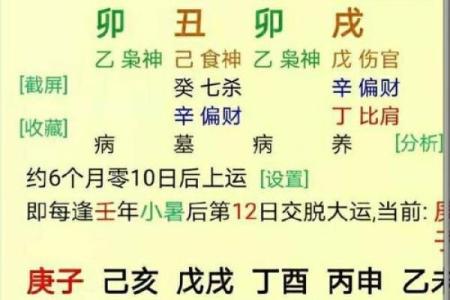 如何判断命卦：解读八字与命运的关联