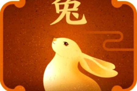 2023年属什么命：揭开生肖兔的神秘面纱，探寻好运与事业之道