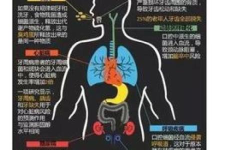 32颗牙齿的命运：口腔健康与人生命运的奇妙关系