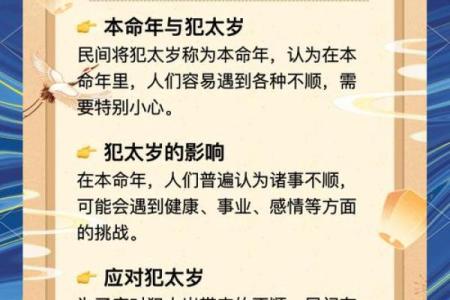 天生当官是什么命，揭开命运的神秘面纱