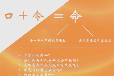 探寻命理之谜：你出生的那一天代表什么命？
