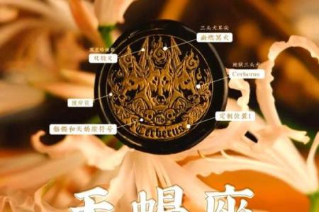 胎记与命格：揭示潜在性格与命运的秘密