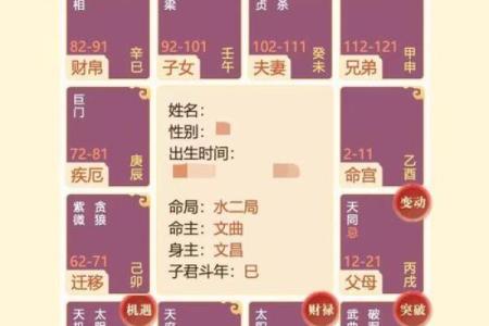 探索命盘与大运背后的生肖智慧，解密命理与人生的关系！
