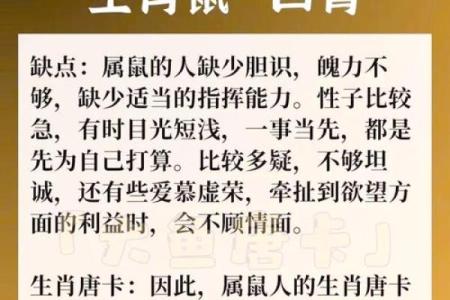 1982年鼠人命运解析：揭秘鼠人的性格与枝繁叶茂的人生旅程
