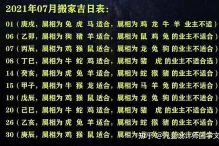 属猪与属鼠人的命运解析：探索生肖背后的命理密码
