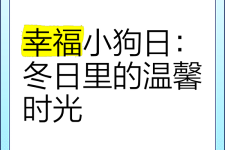 狗子陪伴我们，带给我们温暖与快乐的生命礼赞
