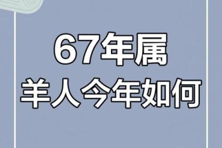 属羊女1967的命运解析：温柔与坚韧的完美结合