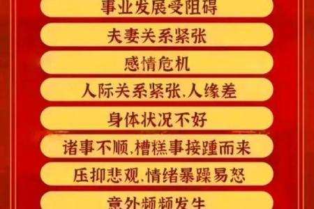 23岁属狗人的命运揭秘：迎接挑战与机遇的最佳时刻！
