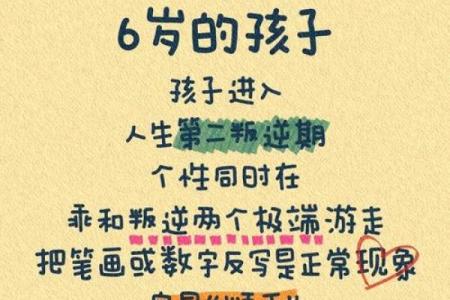 木金夫妻育儿之道：解读孩子的命运与未来