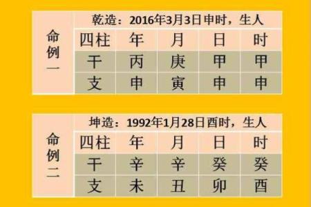1985年牛海中金命与哪些命最配？揭秘命理搭配之道