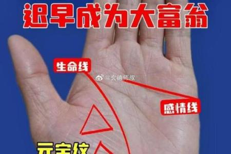 手掌纹路的奥秘：揭示命运的密码与智慧