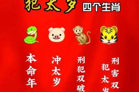 1971年属什么？探索这一年的生肖与命运之旅
