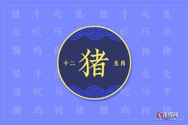 属猪之人48岁命理解析：智慧与幸福的交汇点