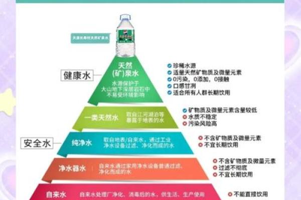 2013年冬月出生的人命运解析：水的滋养与金的凝聚