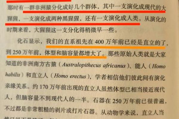 12月28日出生者的命运与性格解析：独特人生的奇妙旅程