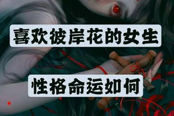12月28日出生者的命运与性格解析：独特人生的奇妙旅程