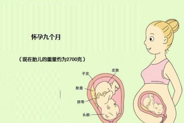83年84年出生的命运：命理与人生的奇妙旅程