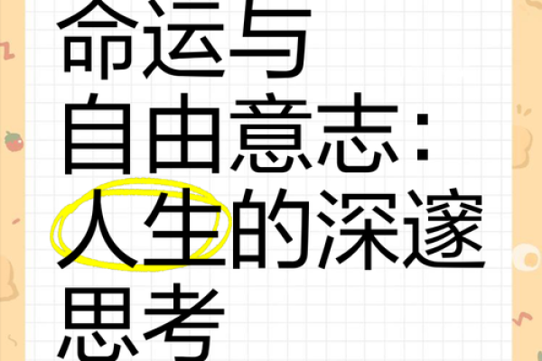 探寻“命”的深邃之美：它对我们的生活意味着什么？