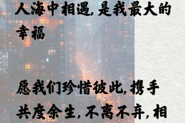 相依为命的爱：在生活中寻找彼此的温暖与陪伴