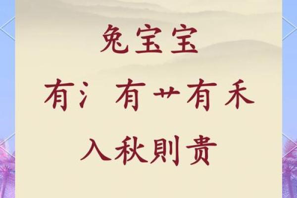 探索农历1971年命格：水兔携福，宜人生的智慧之旅