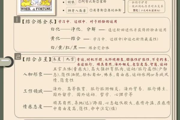 “11画命”解析：揭示你命运之路的神秘数字