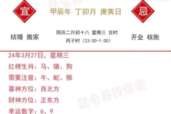 水命属狗的人适合的数字与生活：好运数字解析