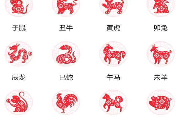 1900年出生女性的生肖命理解析与运势探讨
