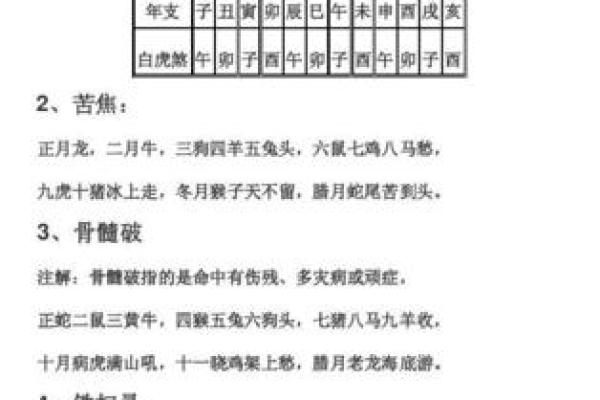 己酉女命工作选择：探索适合你的职业发展之路