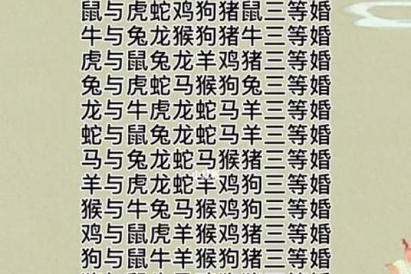 1995年猪命与十二生肖的缘分，探索最佳配对与和谐之道