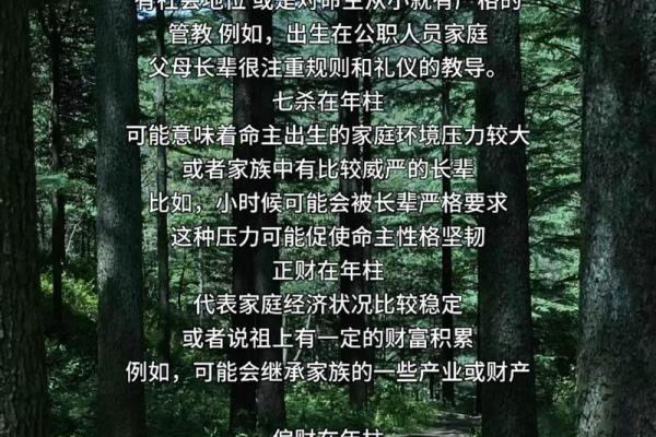 甲午命主的最佳葬向：风水与生命的延续智慧