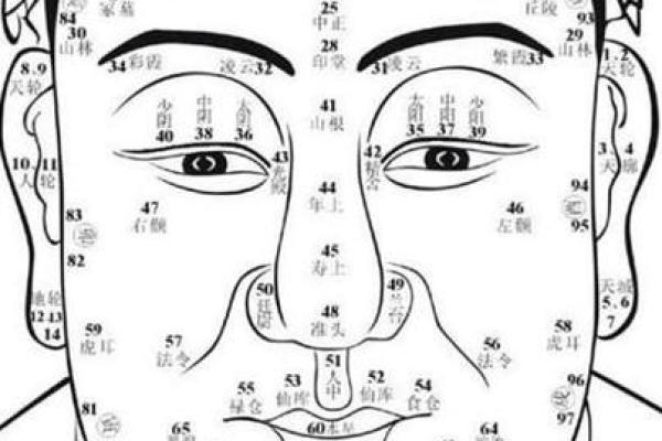 脚的形状与命运：揭示你人生的秘密