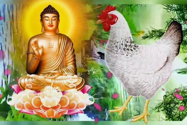 属鸡属是什么命？揭开2015年生肖鸡的命运之谜！